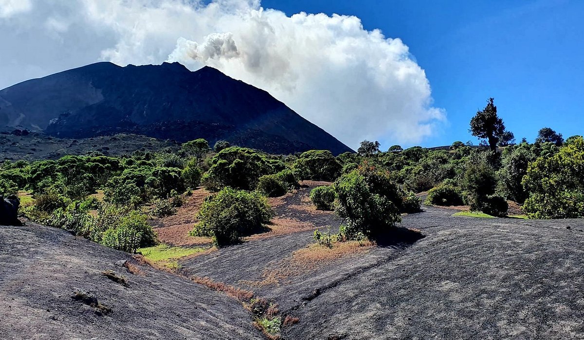 pacaya trekking