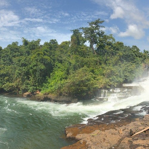 photo1jpg 1