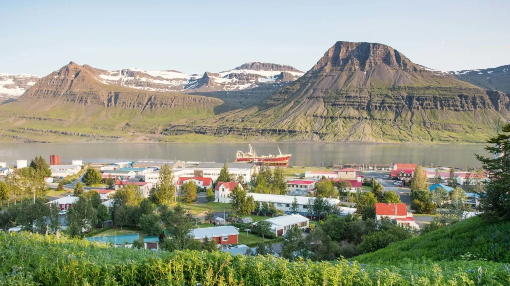 reydarfjordur town from above 4f88c9229e