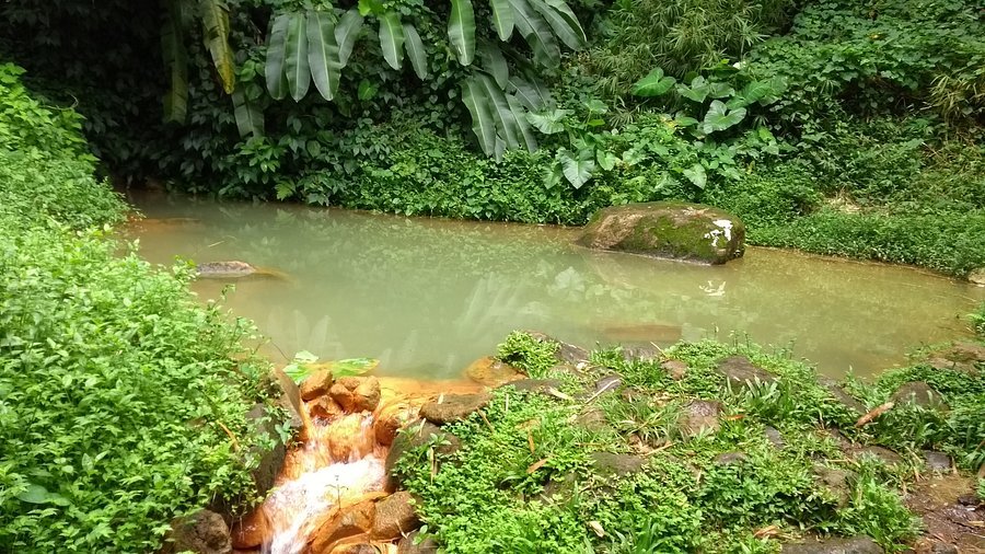 river sallee sulfur springs