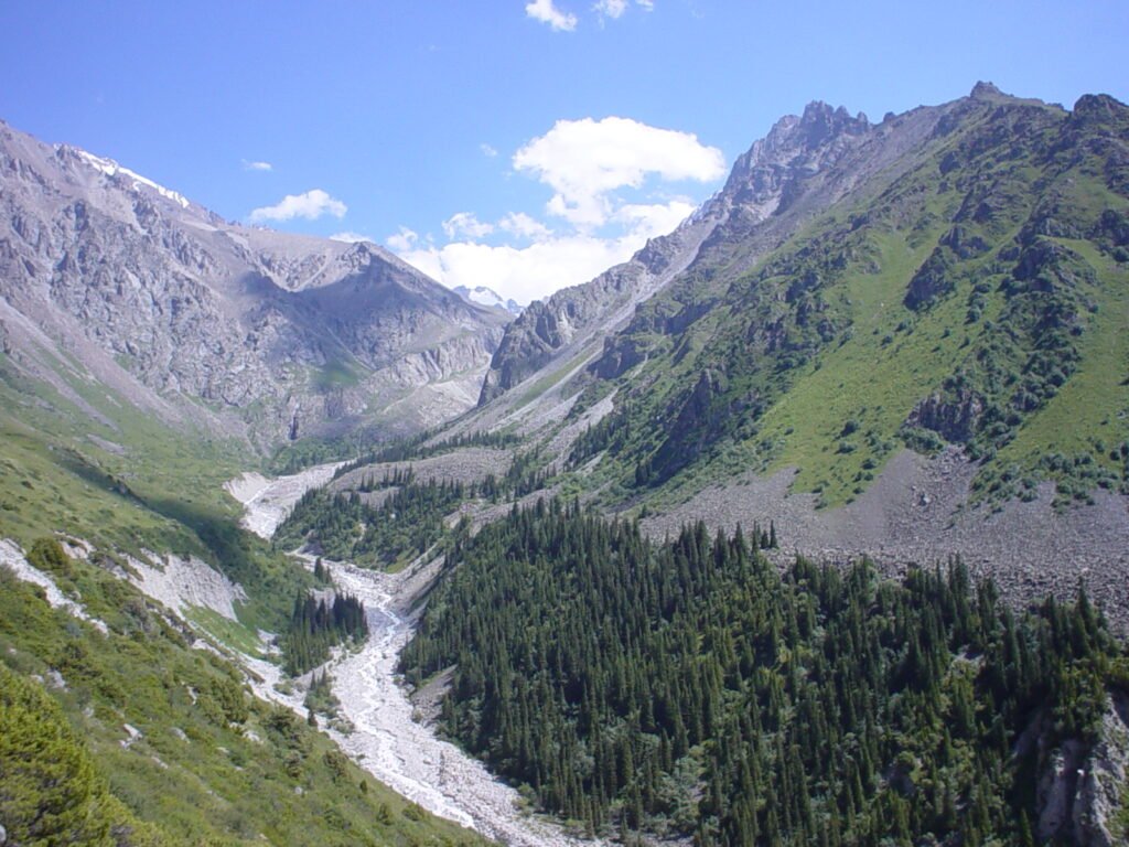 Ala archa