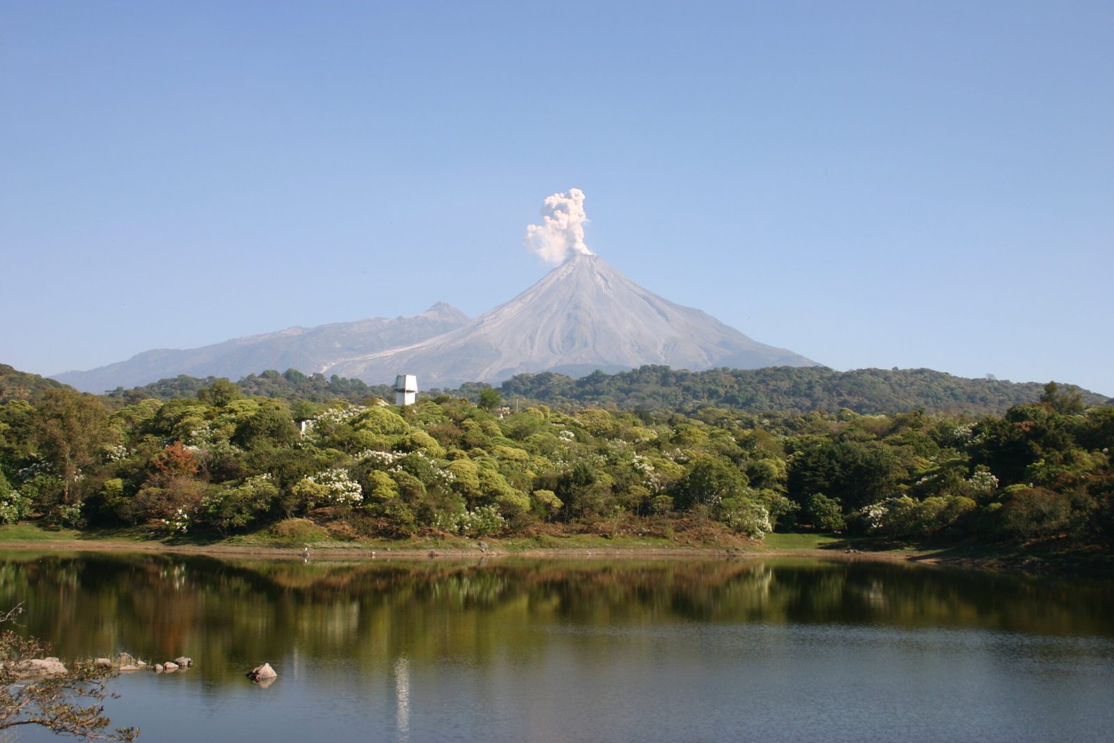 Colima 22527131698 scaled