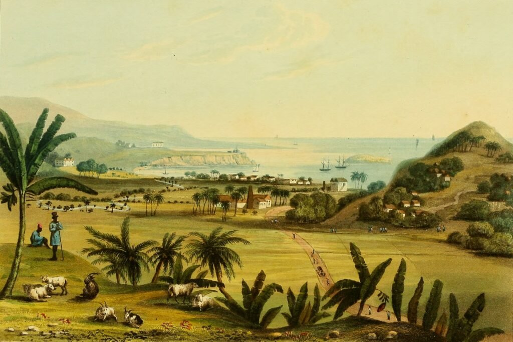 Hakewill A Picturesque Tour of the Island of Jamaica Plate 11jpg
