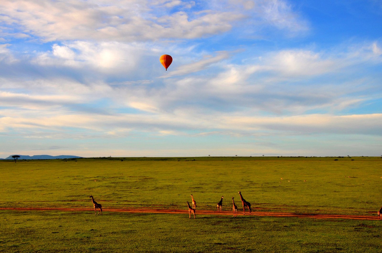 Hot Air Balloon Safari in Maasai Mara scaled