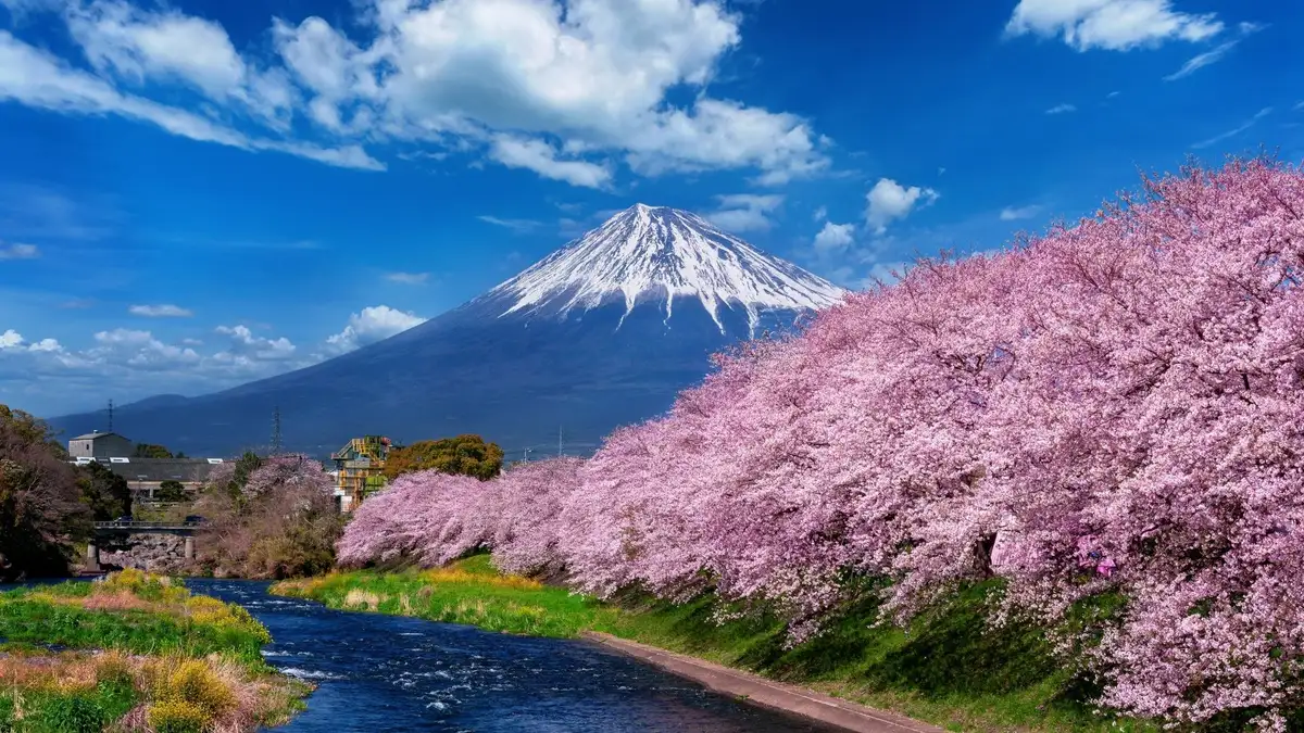 Tokyo Itinerary