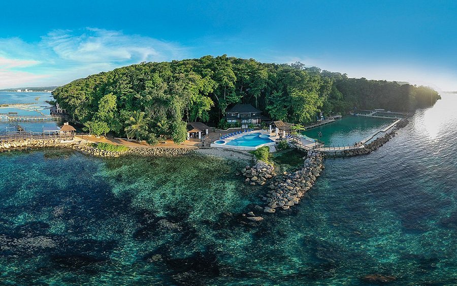 an aerial view from dolphin 1