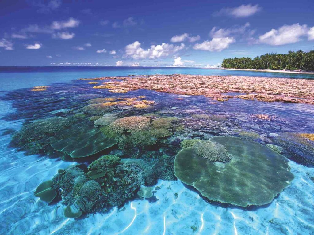 coral reef marshall islands majuro atoll