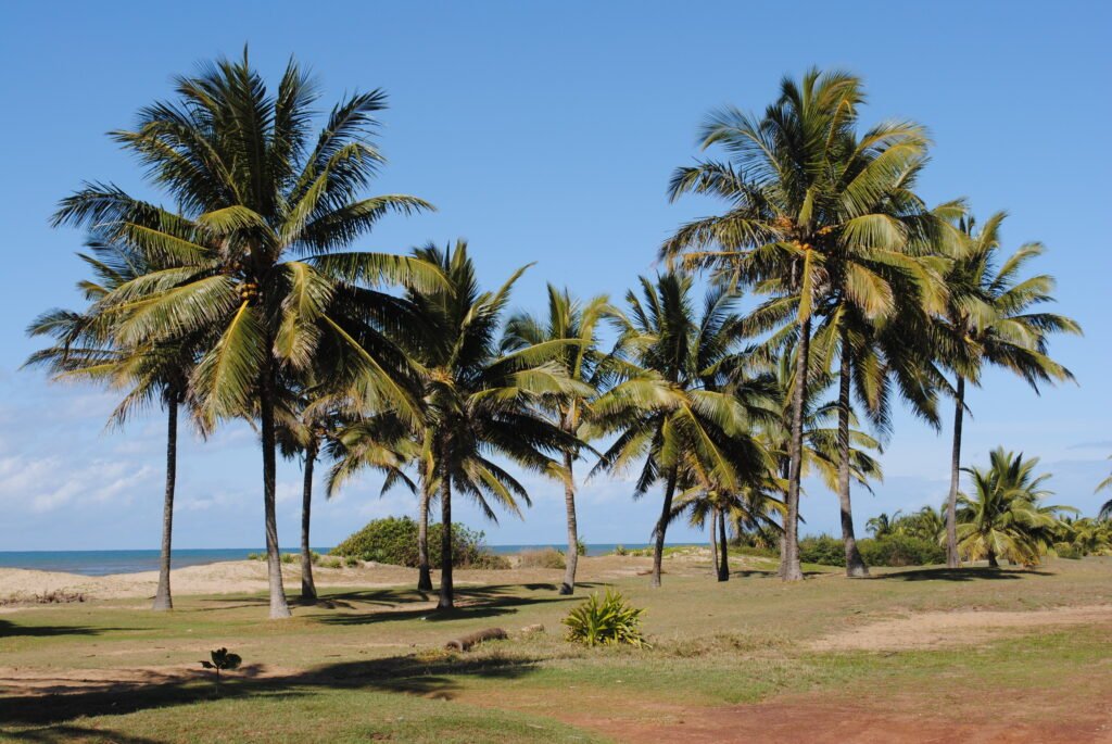 Best place to visit in Farafangana 5 farafangana three