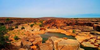 images 29